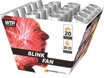 Blink fan